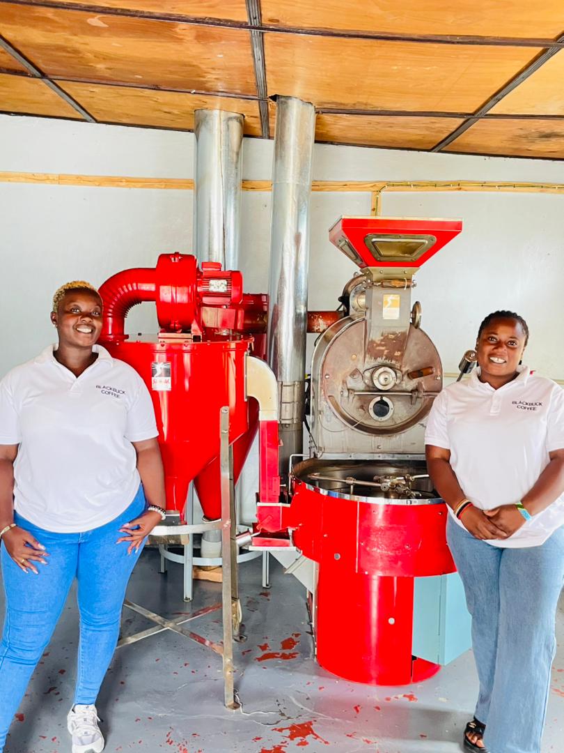 Roasted Coffee Beans